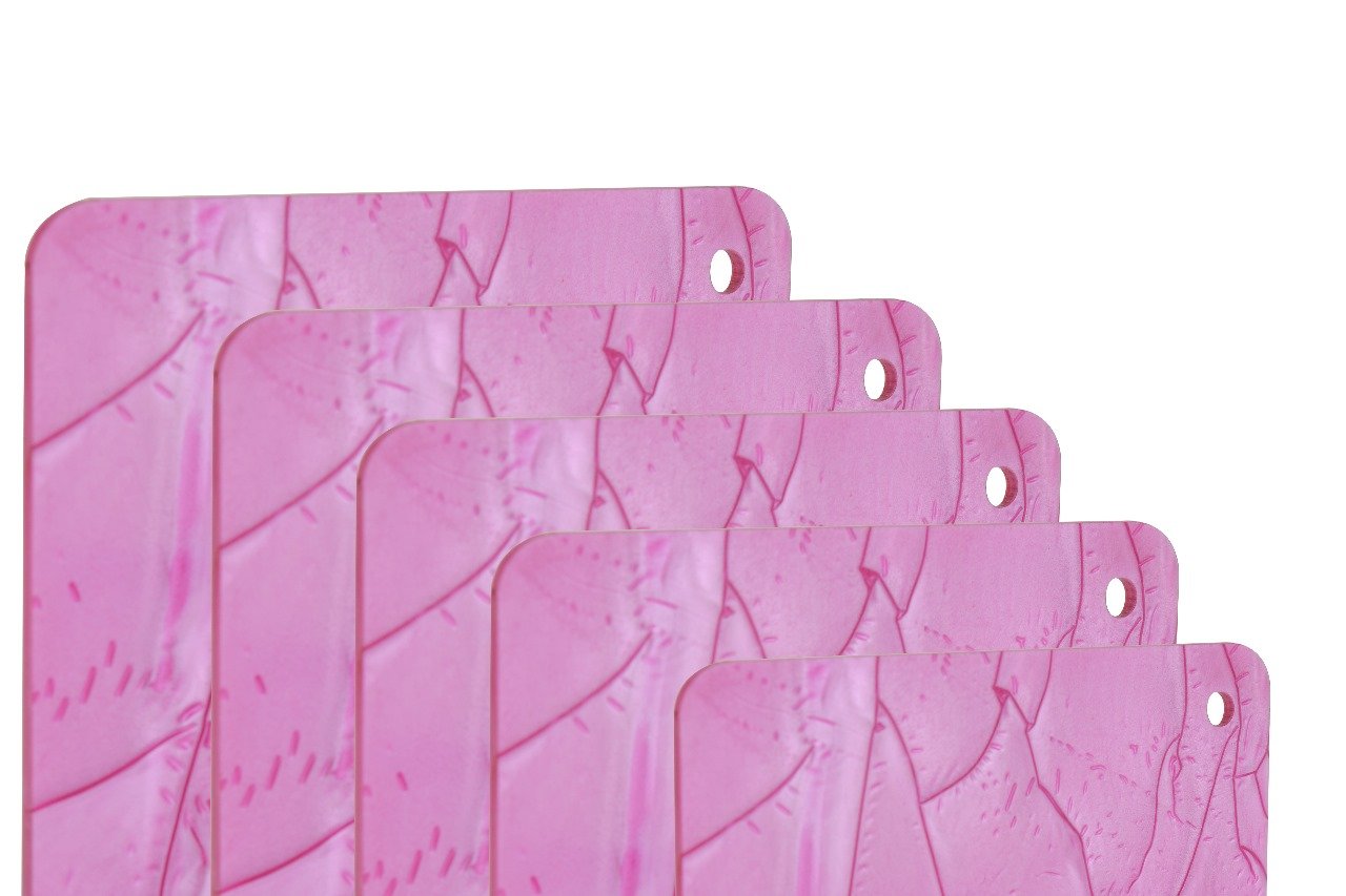 WhatsApp Image 2026-07-05 At 01.21.14 (1)